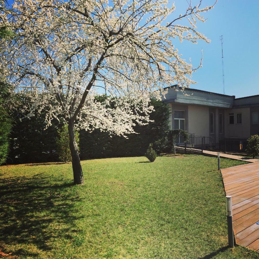 Hotel Villa Cinzia Вилланова-Мондови Экстерьер фото